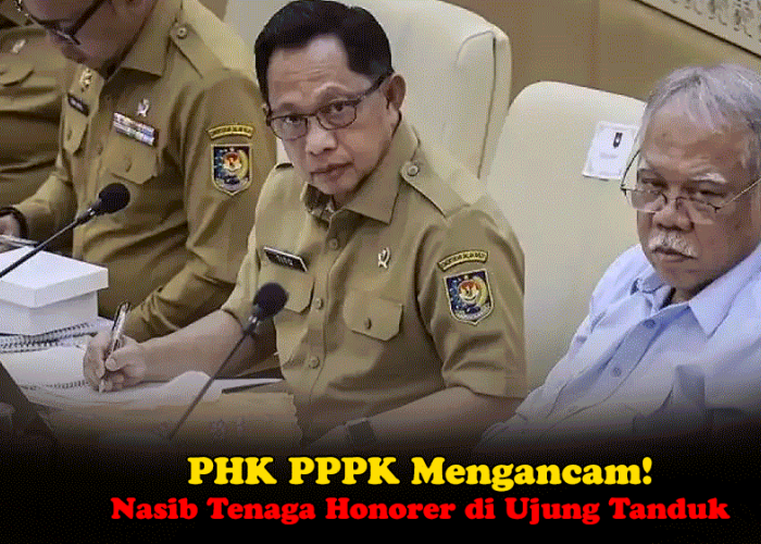 PHK PPPK Mengancam! Aturan Baru Bikin Resah, Nasib Tenaga Honorer di Ujung Tanduk