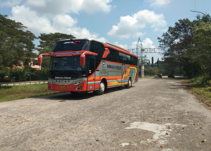 Terminal Karya Jaya Siap Jadi Kantong Parkir Kendaraan ODOL- Petugas Balai Pengelola Transportasi Darat Terminal Type A Karya Jaya Heri Mardiansyah menyampaikan Terminal Karya Jaya Kertapati Palembang siap dijadikan sebagai kantong parkir kendaraan Truk Tronton atau ODOL sebelum masuk ke kota Palembang,  pasca  Pertemuan Pj Walikota Palembang dengan Kementrian Perhubungan RI beberapa waktu yang lalu. Untuk daya tampung terminal bisa hingga 50 buah kendaraan truk tronton parkir di terminal ini,  sedangkan sebagai sarana pendukung seperti  Toilet, Musholla,  keamanan  memang sudah tersedia jadi terminal ini siap untuk dijadikan kantong parkir kendaraan truk besar,  tronton ataupun ODOL. Selasa,  (28/5/2024). Foto:Budiman/Sumateraekspres.id
