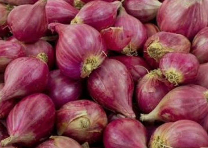 Bawang Merah Bisa Obati Batuk, Cek Disini Faktanya