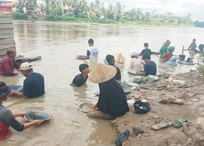 Ratusan Warga Muratara Berburu Emas di Aliran Sungai, Kelestarian Alam Terancam