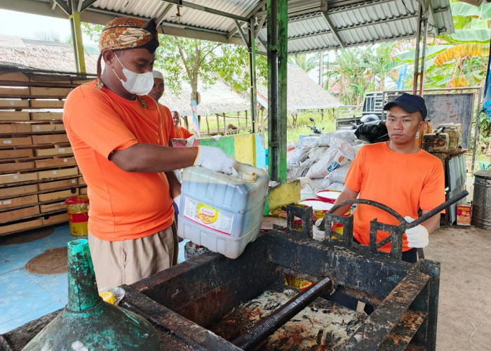 Proses pengolahan Minyak Jelantah dengan menggunakan alat press di Rumah Produksi UMKM Pasta 30. Proses dimulai dengan memasak minyak, lalu dimasukkan kedalam mesin press dan menghasilkan  dua produk turunan yaitu Ampas dan Minyak yang dapat diolah lagi untuk Minyak Solar.   Foto. Budiman/Sumatera ekspres