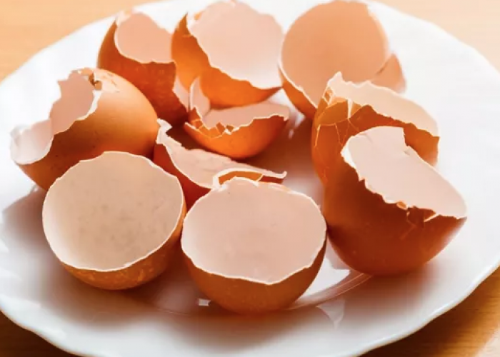 Anda Punya Kulit Telur, Jangan Dibuang, Banyak Manfaatnya Bagi Kesehatan