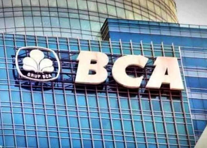 Fresh Graduate Buruan Merapat Yuk, Bank BCA Lagi Buka Lowongan Kerja Nih,  Simak Kualifikasinya!