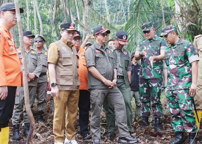 Sumsel Jangan Jadi Primadona Karhutla, Paling Riskan Terbakar dari 6 Provinsi Prioritas