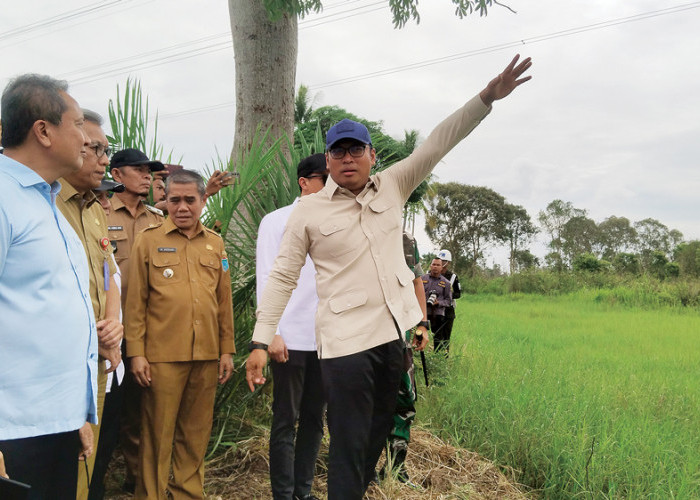  Wamentan Sudaryono Ingatkan Jangan Ada Tebusan ke Petani, Sumsel Terbesar Program Opla dan Cetak Sawah