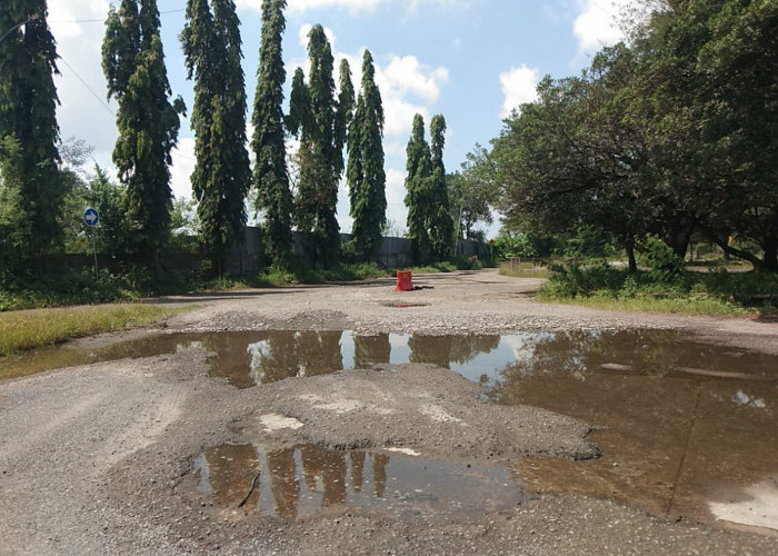 Terminal Karya Jaya Siap Jadi Kantong Parkir Kendaraan ODOL- Petugas Balai Pengelola Transportasi Darat Terminal Type A Karya Jaya Heri Mardiansyah menyampaikan Terminal Karya Jaya Kertapati Palembang siap dijadikan sebagai kantong parkir kendaraan Truk Tronton atau ODOL sebelum masuk ke kota Palembang,  pasca  Pertemuan Pj Walikota Palembang dengan Kementrian Perhubungan RI beberapa waktu yang lalu. Untuk daya tampung terminal bisa hingga 50 buah kendaraan truk tronton parkir di terminal ini,  sedangkan sebagai sarana pendukung seperti  Toilet, Musholla,  keamanan  memang sudah tersedia jadi terminal ini siap untuk dijadikan kantong parkir kendaraan truk besar,  tronton ataupun ODOL. Selasa,  (28/5/2024). Foto:Budiman/Sumateraekspres.id
