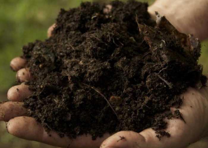 Ini Cara Mudah Membuat Pupuk Kompos, Petani Wajib Tahu 