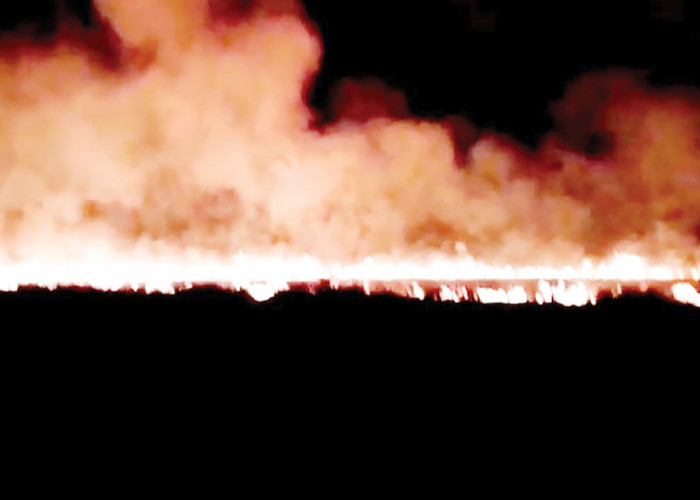 6,5 Jam Berjibaku Padamkan Karhutla di Lahan Semi Gambut Desa Lorok Ogan Ilir, Luas Terbakar 15 Hektare 