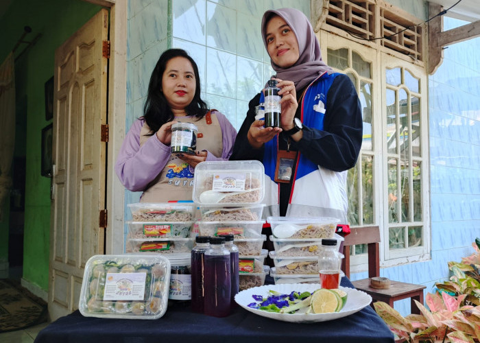 Tunjukkan Hasil Produk - Salah satu Pelaku Kelompok UMKM Sutra  yang beranggotakan 30 orang menunjukkan berbagai produk yang mereka hasilkan seperti Minuman  Bunga Telang, Madu Klanceng, Mie Ayam Bunga Telang, Donut, Kue Pukis, dan lainnya.  Semua bahan baku produk ini berasal dari Green House  Bahan Baku Produk Kelompok UMKM Sutra dan lingkungan sekitarnya, sehingga produk yang dihasilkan benar-benar berkualitas dan memiliki banyak manfaat bagi kesehatan. Sedangkan untuk pemasaran produk UMKM Sutra melakukanya secara online atau media sosial,  mengikuti berbagai event-event dan DPPU Pertamina SMB II juga selalu menggunakan Produk-produk UMKM Sutra untuk berbagai kegiatan sebagai ajang promosi. (15/10/2024)
Foto. Budiman/Sumatera Ekspres