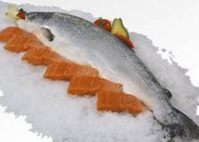 Ini Manfaat Mengonsumsi Ikan Salmon, Jaga Imun hingga Berat Badan