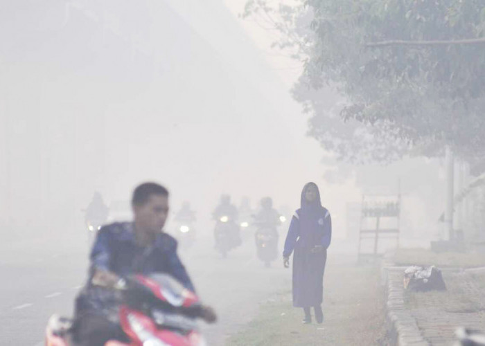 PERGI SEKOLAH-Seorang siswi SMP pergi sekolah dengan berjalan kaki tanpa masker di Jalan Gub Bastari Jakabaring Palembang yang diselimuti kabut asap yang sangat pekat, Sabtu (28/0/2023). Kabut asap yang sangat pekat ini membuat masyarakat yang beraktifitas wajib menggunakan masker kesehatan. Foto : Budiman/Sumateraekspres.id
