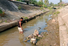Ratusan Ikan Mati Mengambang di Sungai Kelekar Prabumulih, Warga Resah Dugaan Cuaca Ekstrem Hingga Pencemaran 