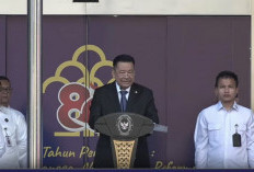 Wamenko Imipas Tekankan Netralitas ASN di Tengah Dinamika Demokrasi