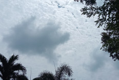 Prakiraan Cuaca Sumsel Kamis 10 Juli 2025: Dominasi Cerah Berawan, Hujan Ringan di Sejumlah Wilayah