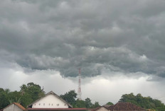 Cuaca Sumsel 10 November 2025: BMKG Peringatkan Potensi Hujan Petir dan Angin Kencang