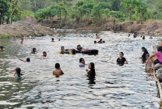Menikmati Kesegaran Tepian Lubuk Ndap, Destinasi Favorit di Empat Lawang