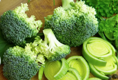 Brokoli Ternyata Memiliki Efek Anti Kanker, Kok Bisa, Disini Jawabannya