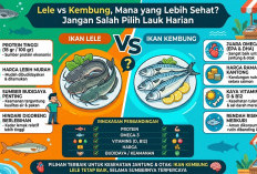 Lele vs Kembung, Mana yang Lebih Sehat? Jangan Salah Pilih Lauk Harian