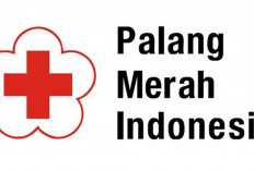 Dua PMI OKU Dilaporkan ‘Hilang’ di Malaysia