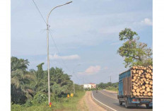 Belum Pindah ke PJU Tenaga Surya, Anggarkan Rp19 M per Tahun