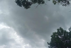 Prakiraan Cuaca Sumatera Selatan Minggu 26 Oktober 2025: Hujan Ringan Merata, Muratara Waspadai Petir dan Angi