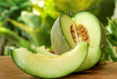 Manfaat Melon untuk Kesehatan Tubuh Anda, Mantap Banget Nih Gais