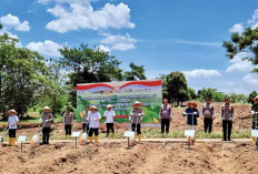 Penanaman Jagung Wujudkan Ketahanan Pangan