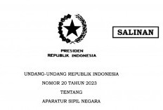 10 Hal yang Bisa Membuat PPPK dan PNS Diberhentikan Dalam UU ASN 2023 Terbaru yang Diteken Jokowi