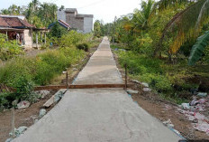 Pasang  Lampu Tenaga Surya,  Normalisasi Saluran Cegah Banjir