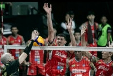 Surabaya Samator Rebut Juara 3 Proliga 2025 Usai Tumbangkan Palembang SumselBabel 3-1