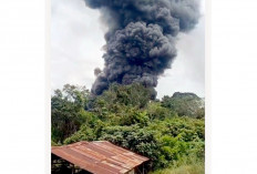 Kasus Terus Meningkat, Jadi Atensi