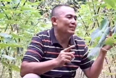 Penuhi Kebutuhan hingga Hasilkan Cuan