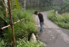 Terkikis Air Hujan, Jalan Penghubung Antar Desa Mulai Amblas