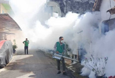 Yuk Utamakan Pencegahan 3 M, Fogging Hanya Bunuh Nyamuk Dewasa