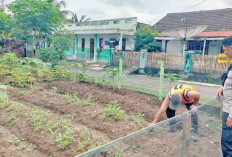 Bhabinkamtibmas  Sambangi  Lahan Cocok Tanam Warga Dukung Program P2B di Muara Enim