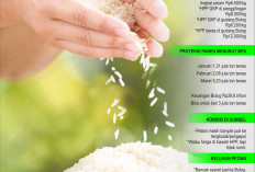 Sulit Kalahkan Dominasi Tengkulak, Sebagian Beras Sumsel ‘Lari’ ke Luar Daerah