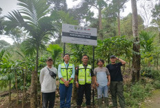 Agroforestry Kopi Jadi Model Pertanian Berkelanjutan di Desa Tanjung Beringin