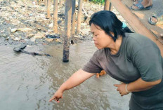 Tergelincir Main di Ponton, Sultan Hilang Tenggelam di Sungai Musi