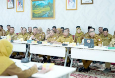 Fix, Bupati Banyuasin Bakal Lakukan Perampingan OPD