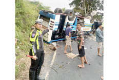 Usai Hadiri Pernikahan, Bus 28 Penumpang Terguling di Pinggir Danau Ranau
