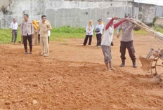 Dukung Program Ketahanan Pangan, Sebagian Warga OKI Bersedia Sistem Tumpang Sari Sawit-Jagung