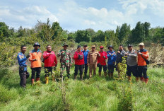 Karhutla di Pampangan: Udara Panas, Lahan 1,5 Hektar Terbakar