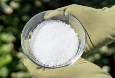  Garam Bisa Menjadi Pupuk dan Herbisida, Ini Langkah yang Harus Dilakukan