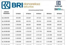 Tips Jitu Agar Pinjaman BRI Tanpa Jaminan Disetujui: Wajib Punya Usaha, Jangan Fiktif
