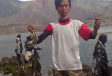 Menikmati Keindahan Gunung Rinjani: Surga bagi Pecinta Alam dan Pemancing di Danau Segara Anak!