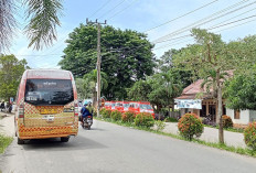 Dishub Pastikan Angkutan Massal Teman Bus Berlanjut Tahun Ini, Sempat Setop Operasional Akibat Ini