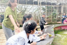 Diserbu Ratusan Pengujung Selama Libur Panjang, Palembang Bird Park Tambah Dua Koleksi Satwa Terbaru 