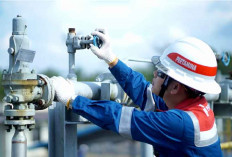  Pertamina EP Fokus Bersihkan Tumpahan Minyak Limau Field