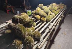 Penggemar Durian Harus Tau? Ini 10 Makanan yang Tidak Boleh Dikonsumsi Bersamaan Si Raja Buah