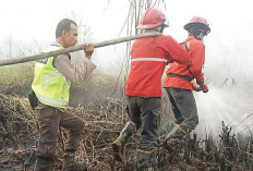 Palembang Mulai Diserang Asap, ISPU Naik ke Level Sedang, Tidak Sehat bagi Kelompok Sensitif 